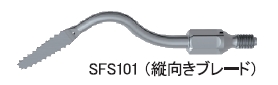 SFS101