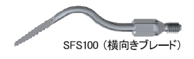 SFS100